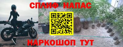 молекула духа Обь