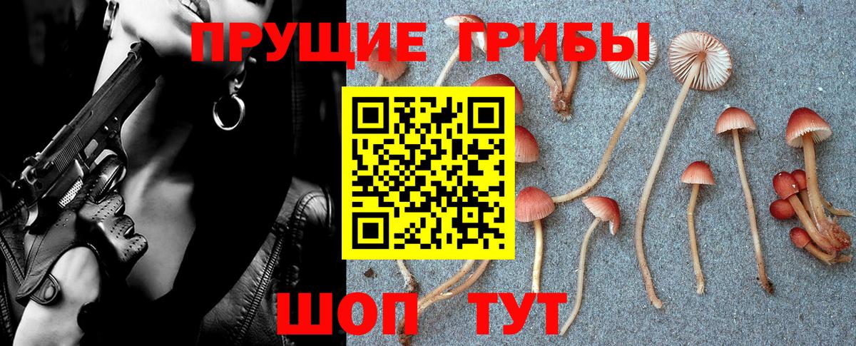 Галлюциногенные грибы мицелий  Вход с VPN  Тихорецк 